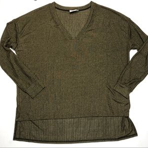 Shimmery Hi-Lo long sleeve top. NWT